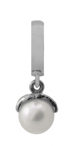 Endless - 31302 - Apple Heart Charm Silber