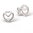 Brion Ladies earrings with cz
