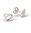 Brion Ladies earrings with cz